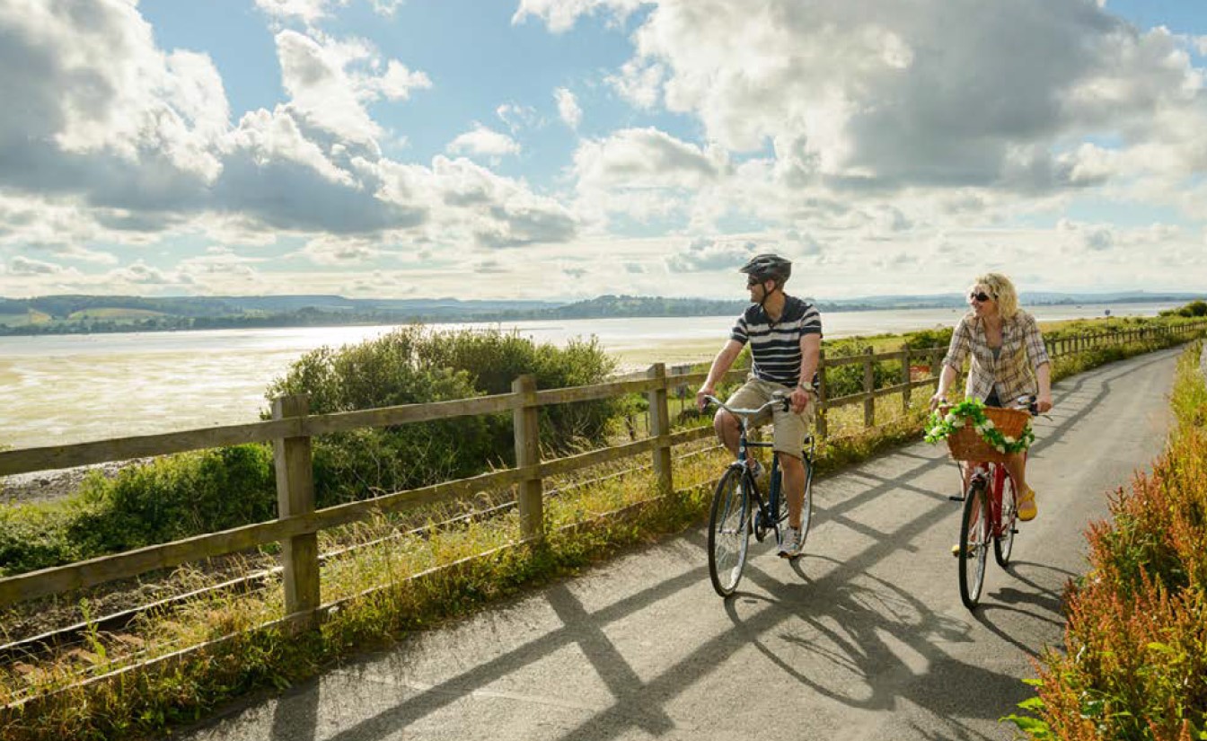 image of the Exe Estuary Trail