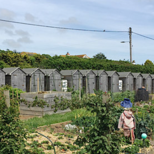 allotment website