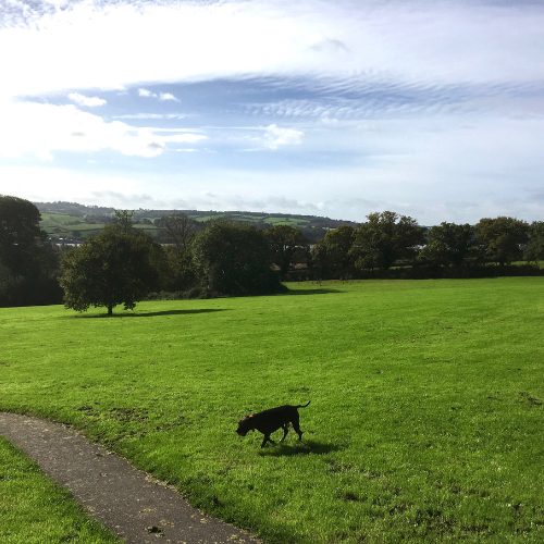 The Lawns Open Green Space