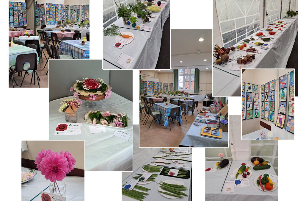 Bishopsteignton Village Show